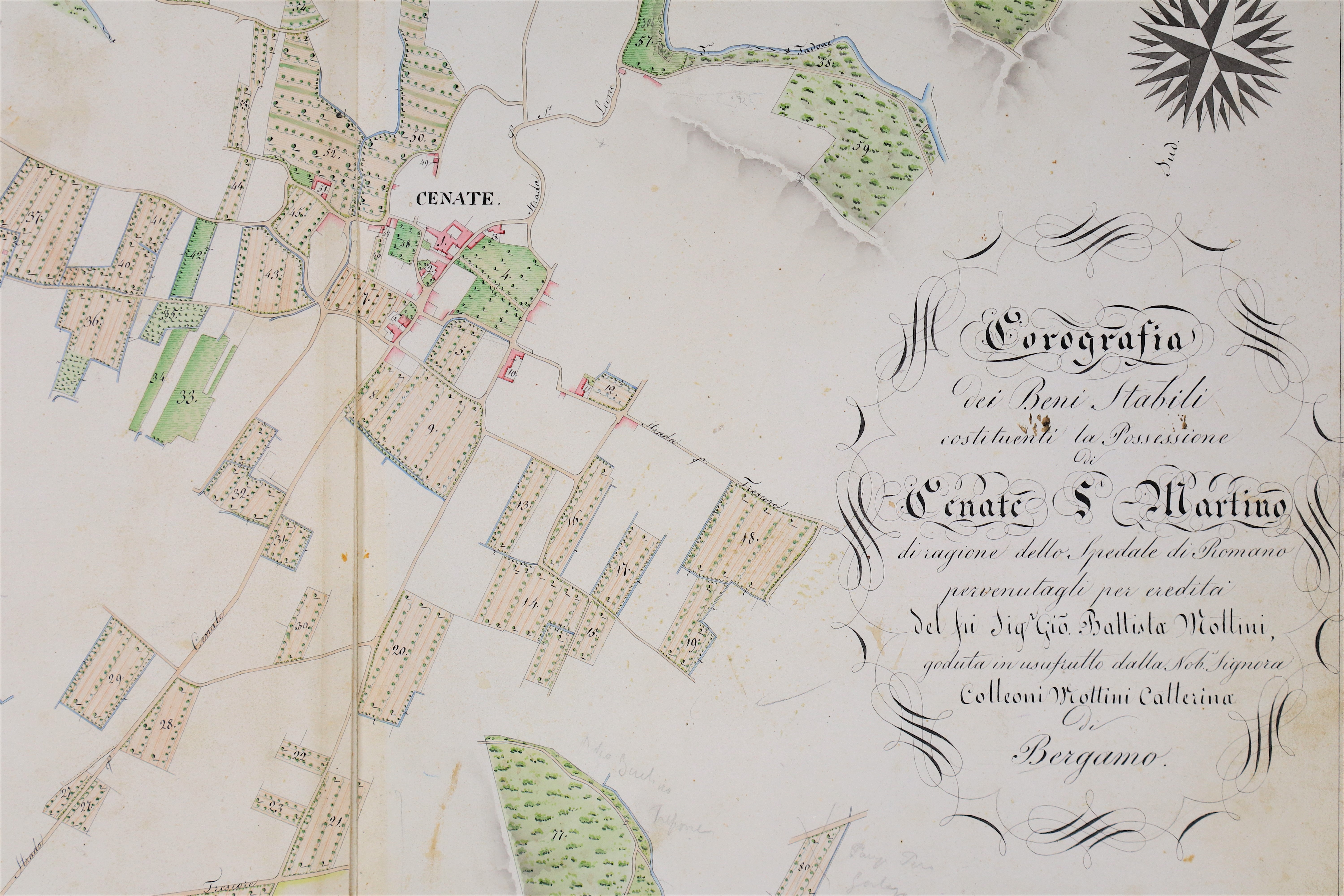 Scorci di paesaggio agrario dai cabrei ottocenteschi dell'Ospedale di Romano: il cabreo della possessione di Cenate San Martino